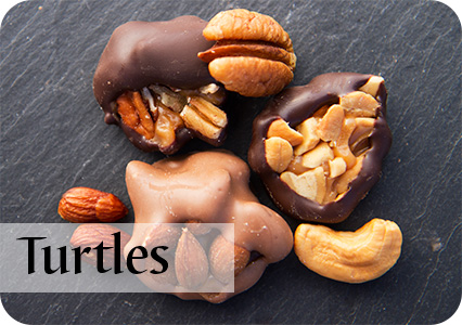 Chocolate Turtles/Croquettes