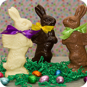 Solid Chocolate Easter Bunny - 11 oz.