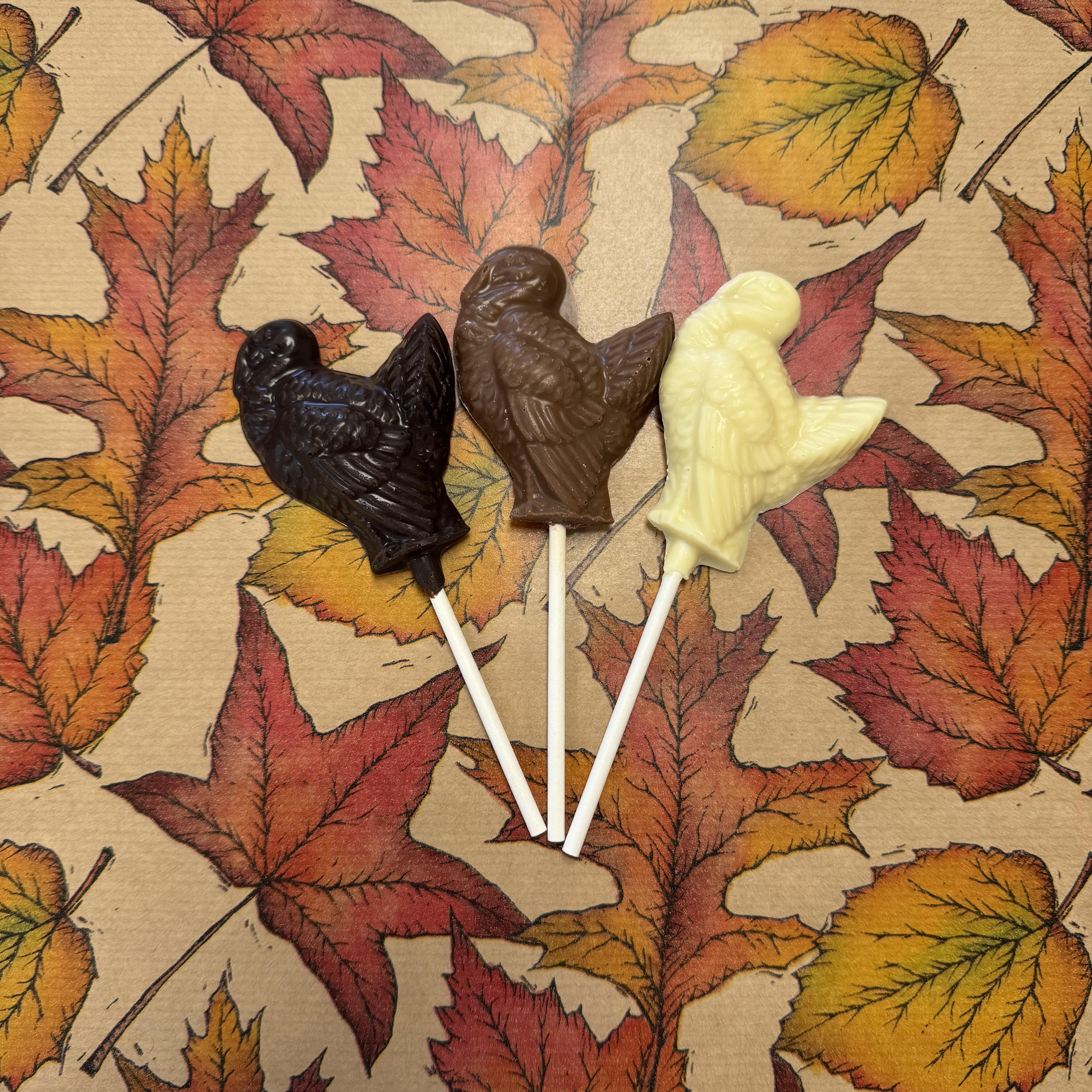 Small Chocolate Turkey Pops 